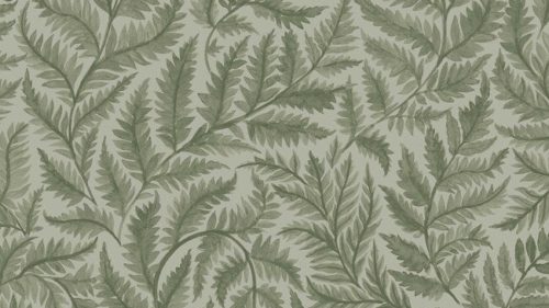 Ferns 7792